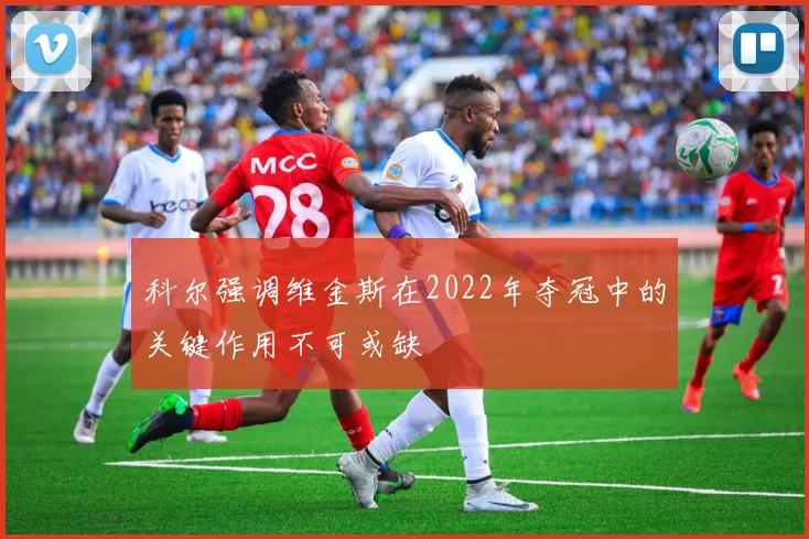 科尔强调维金斯在2022年夺冠中的关键作用不可或缺